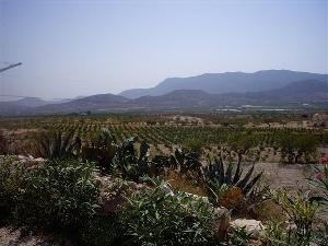 La Canalosa property: House with 8 bedroom in La Canalosa 49590