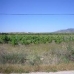 Pinoso property: bedroom Land in Alicante 49616