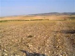 Yecla property: Land for sale in Yecla 49617
