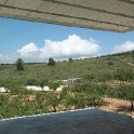 Pinoso property: Apartment for sale in Pinoso 49632