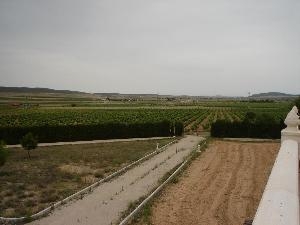 Yecla property: Yecla, Spain | House for sale 49634