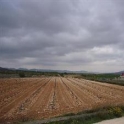 Pinoso property: Land for sale in Pinoso 49643