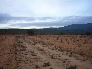 Pinoso property: Land with bedroom in Pinoso, Spain 49648