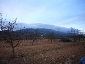 Pinoso property: Pinoso, Spain | Land for sale 49648