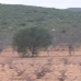 Pinoso property: Land in Alicante 49648