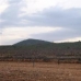 Pinoso property: Land in Pinoso 49648