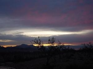 Jumilla property: Land for sale in Jumilla, Spain 49649