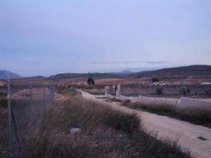 Jumilla property: Murcia property | bedroom Land 49649