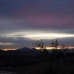 Jumilla property: Jumilla, Spain Land 49649