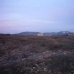 Jumilla property: Land in Jumilla 49649