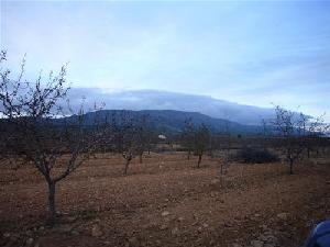 Pinoso property: Land for sale in Pinoso, Spain 49650