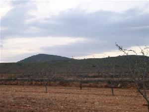 Pinoso property: Land with bedroom in Pinoso, Spain 49650