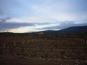 Pinoso property: Land with bedroom in Pinoso 49651