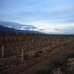 Pinoso property: Land for sale in Pinoso 49651