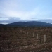 Pinoso property: Pinoso, Spain Land 49651