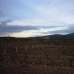 Pinoso property: bedroom Land in Pinoso, Spain 49651