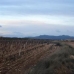 Pinoso property: Land in Alicante 49651