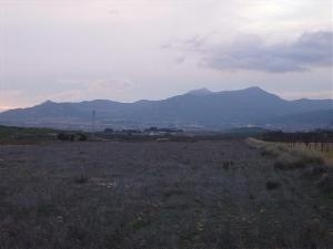 Pinoso property: Land for sale in Pinoso 49652
