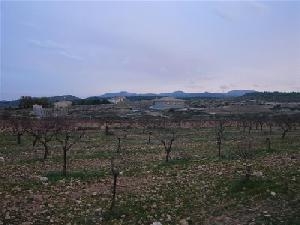 Pinoso property: Land for sale in Pinoso, Spain 49652