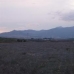 Pinoso property: Land for sale in Pinoso 49652