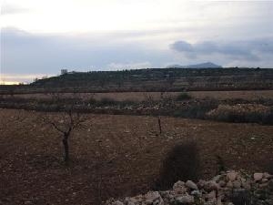 Pinoso property: Land with bedroom in Pinoso 49653