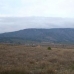 Pinoso property: Land for sale in Pinoso 49653