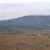 Pinoso property: Pinoso, Spain Land 49653