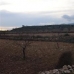 Pinoso property: bedroom Land in Pinoso, Spain 49653