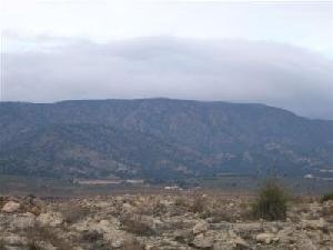 Pinoso property: Land for sale in Pinoso, Spain 49654