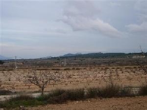 Pinoso property: Land for sale in Pinoso, Alicante 49654