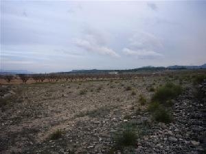 Pinoso property: Land in Alicante for sale 49654