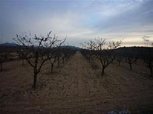 Pinoso property: Alicante property | bedroom Land 49654