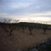 Pinoso property: bedroom Land in Pinoso, Spain 49654