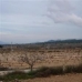 Pinoso property:  Land in Alicante 49654