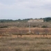 Pinoso property: Pinoso, Spain Land 49655