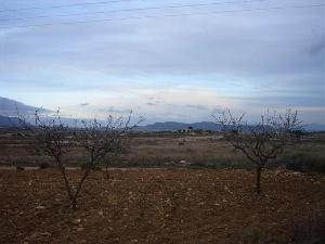 Pinoso property: Land for sale in Pinoso 49657