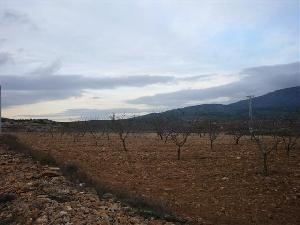 Pinoso property: Land with bedroom in Pinoso 49657