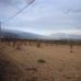 Pinoso property: Pinoso, Spain Land 49658