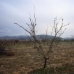 Pinoso property: bedroom Land in Alicante 49658