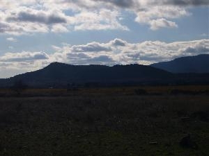 Pinoso property: Land for sale in Pinoso, Alicante 49659