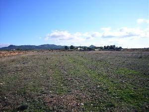 Pinoso property: Alicante property | bedroom Land 49659