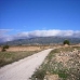Pinoso property: Pinoso, Spain Land 49659