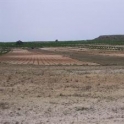 Pinoso property: Land for sale in Pinoso 49660