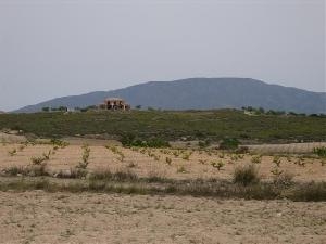 Pinoso property: Land for sale in Pinoso, Spain 49660