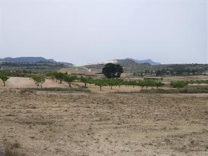 Pinoso property: Land with bedroom in Pinoso, Spain 49660