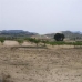 Pinoso property: bedroom Land in Alicante 49660