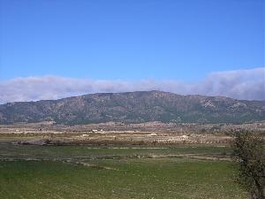 Land in Alicante for sale 49661