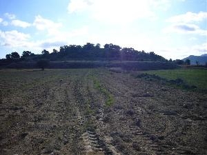 Alicante property | bedroom Land 49661