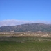 Land in town 49661