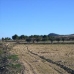 Beautiful Land for sale in town 49661